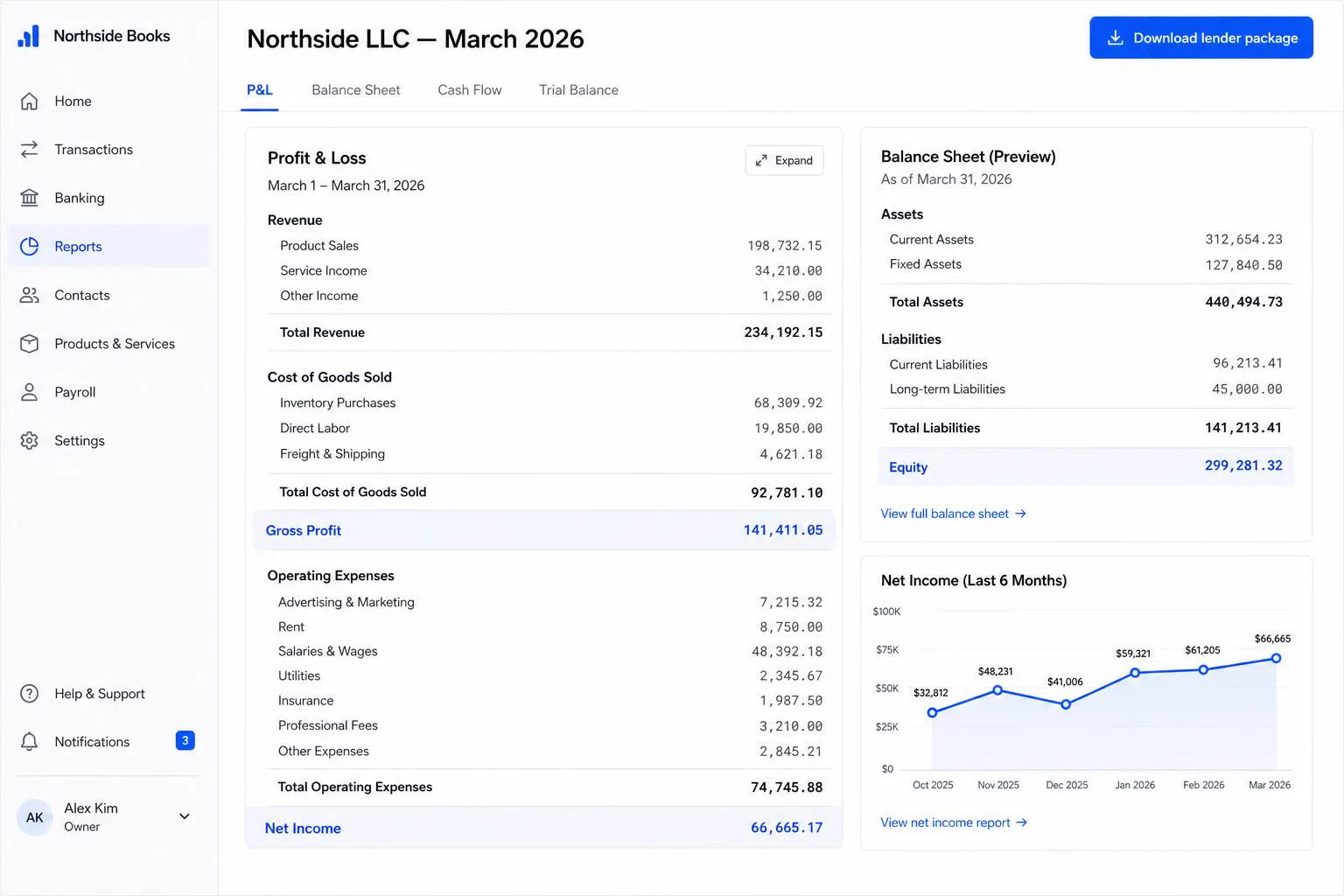 Profit and loss statement with balance sheet preview and net income trend chart